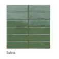 MID SALVIA GLOSSY 6X24 RDFR - RAGNO RAGNO  - 1