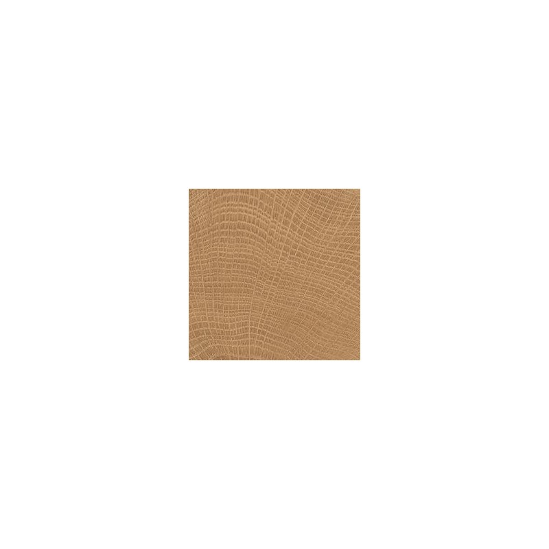 W-CIRCLES WALNUT NATURALE RT 20X120 - PROVENZA EMILGROUP ENL0 PROVENZA EMILGROUP - 1