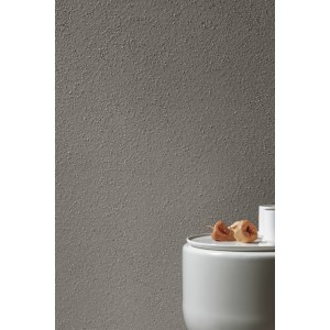 TERRAPURA PURA ARGENTO NATURAL PLUS SQ 120X120 - FMG P120660 FMG IRIS - 1