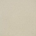 TERRAPURA PURA GREIGE TOP LAPPED 120X120 - FMG L120653 FMG IRIS - 1