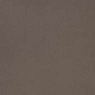 TERRAPURA PURA MARRONE TOP LAPPATO 120X60 - FMG L62656 FMG IRIS - 1