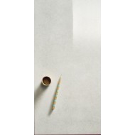 Scg Polished 60x120