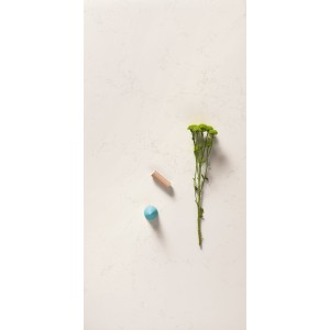 Scw Natural 60x120 9mm