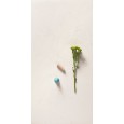 Scw Natural 60x120 9mm