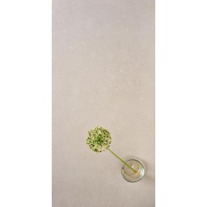 Scb Natural 60x120 9mm