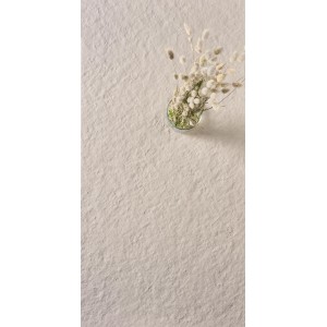 Scb Flamed 60x120 9mm