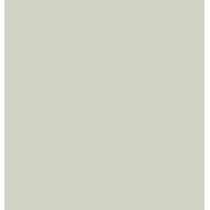 Pixel41 Salvia 11,55x11,55 10mm - 41ZERO42