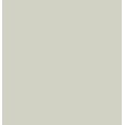 Pixel41 Salvia 11,55x11,55 10mm - 41ZERO42