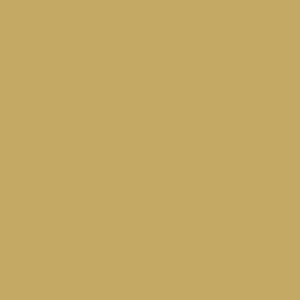 Pixel41 14 Curry 11,55x11,55