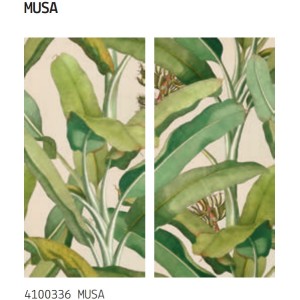 Paper41 Pro Musa 50x100 – design moderne