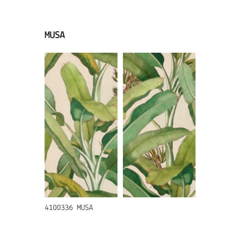 Paper41 Pro Musa 50x100 – 41zero42