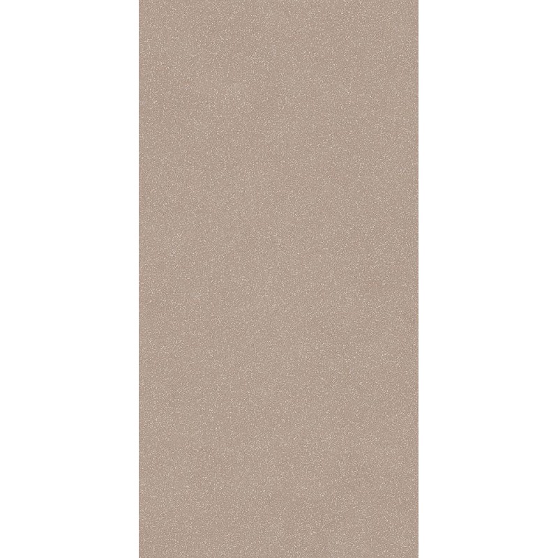 Nok Grains Taupe 60x120 9mm - 41ZERO42