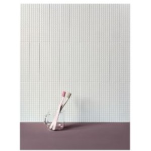 Biscuit Stud Bianco 5x20 8mm