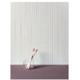 Biscuit Stud Bianco 5x20 8mm — 41ZERO42