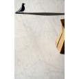 Italic Carrara 60x120 9mm - 41ZERO42