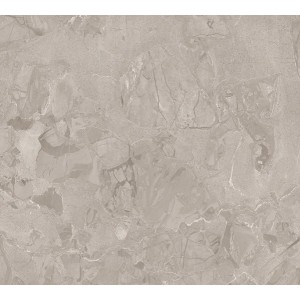 6 Criostone Rhino Mat 120X120 - GIGACER 6CRIORHINMAT120 GIGACER - 1