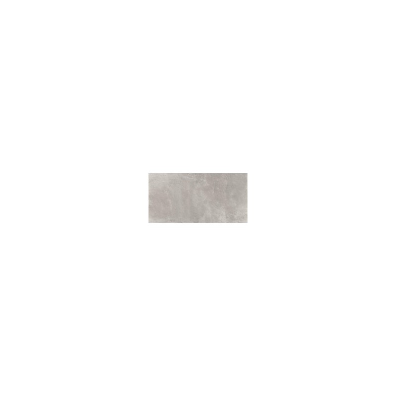 ARALDICA CEMENTO MATT 60x120 CEDIT