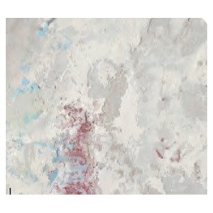 ARCHEOLOGIE CEDIT 120x240