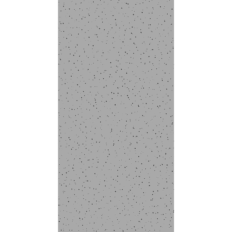 CHIMERA CEDIT Grigio Matt 60x120 6mm