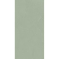 Policroma Lichene Matt 120x240 CEDIT