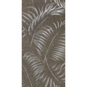 ABSOLUTE FERNS BLACK 120x120