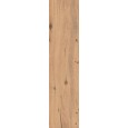 BARK ASH 30x120 cm wood-effect matt tile