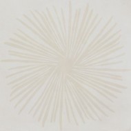 INFINITA FIORE Panna/Champagne 60x60cm matt tile
