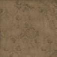 STUDIO 50 - Terracotta 60x60