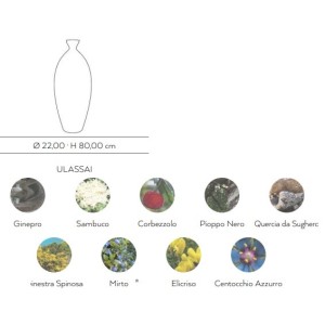 MACCHIA MEDITERRANEA - Cérasarda