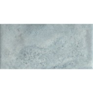 Modulo Mondo 17 Felce Arboresa 15.8x18.3 cm glossy