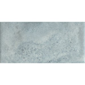 Modulo Mondo 17, felce arboea 20x20
