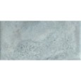 Cerasarda Modulo Mondo 17 Felce Arborea 20x20 lucida