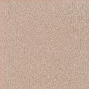 Pitrizza Rosa 20x20
