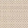 TERRAE IRISH CREAM 50x120 Mirage effetto 3D