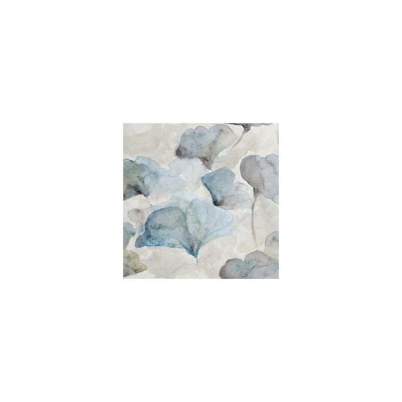PN Nuages 60x120