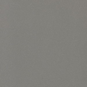 Granito Evo Chicago 30x60