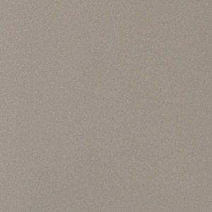 Granito Evo Seattle 60x60 14mm