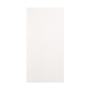 Architecture Light Ivory - Casalgrande Padana