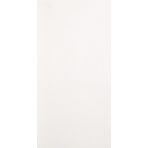 Architecture White 45x90 – Casalgrande Padana