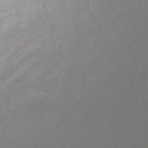 Architecture Light Grey 60x120
