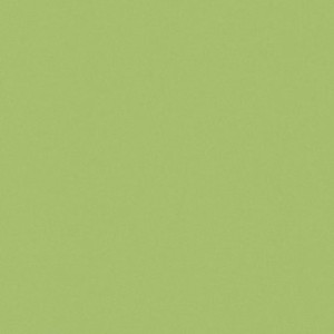 Architecture Acid Green 60x60 - Casalgrande Padana