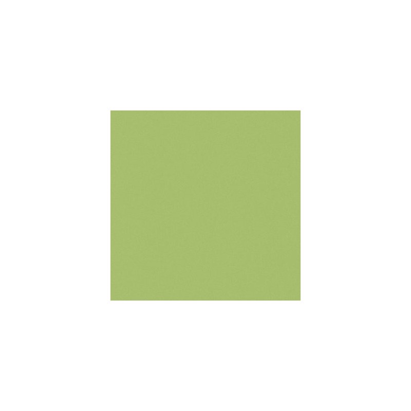 ARCHITECTURE Acid Green 60x60 matt porcelain tile