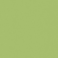ARCHITECTURE Acid Green 60x60 matt porcelain tile