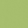 ARCHITECTURE Acid Green 60x60 matt porcelain tile