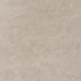 TIMELESS TAUPE Levigato RT 30x60 Casalgrande Padana