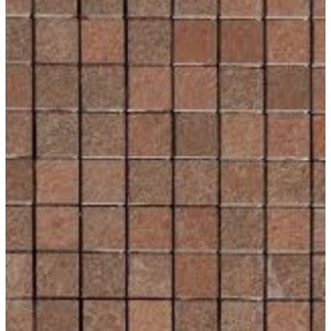 Amazzonia Eldorado 30x30