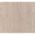 NEWOOD Beige 60x120 9mm