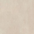STEELTECH BEIGE RT 60x120 9mm - Casalgrande Padana