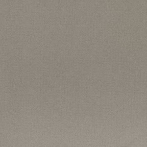 Casalgrande Padana Earth Grigio3