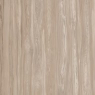 Class Wood Dove Grey – 60x120 Feinsteinzeug